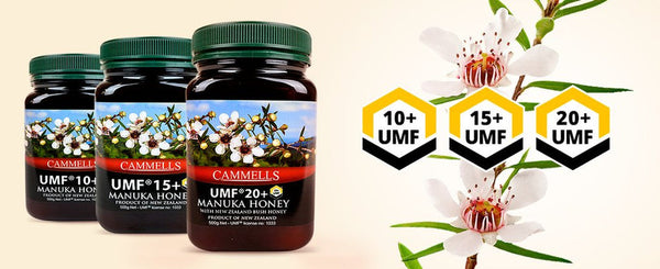 Why is UMF Manuka Honey so special?