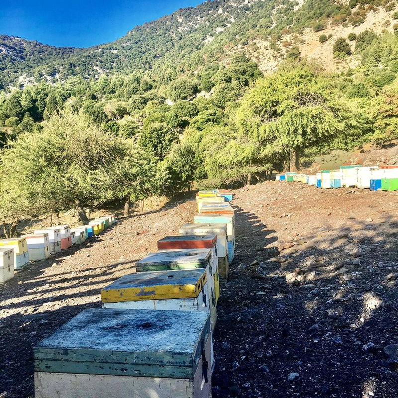 AORITIKO Cretan Mountains Honey 500g, Greece